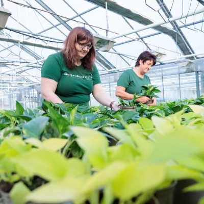 Energie & Ressourcen