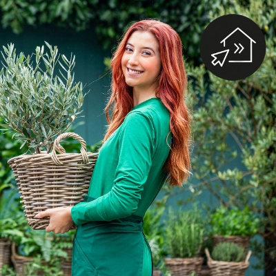 Click & Collect – Online bestellen, im Markt abholen