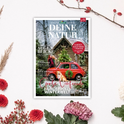 Magazine & Kataloge Dehner