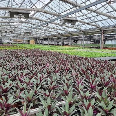 Energie & Ressourcen