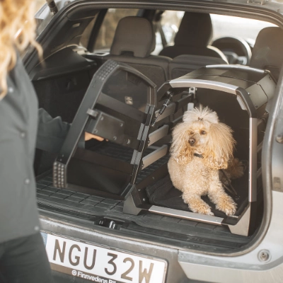 Sicher, leise und immer im Blick