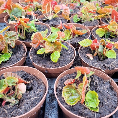 Verpackung & Transport